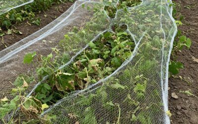 Errores Comunes al Usar Mallas Agrícolas y Cómo Evitarlos