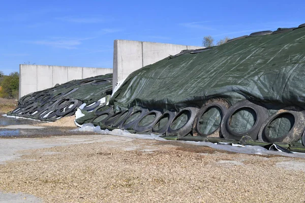Tipos de Silos Ganaderos y la Malla de Silaje: La Guía Definitiva para la Conservación de Forrajes